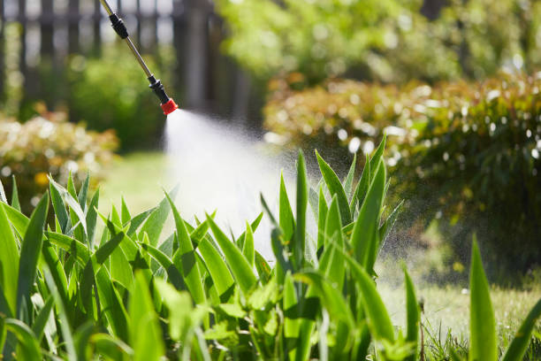 24/7 Emergency Mosquito Control experts in Herculaneum, MO