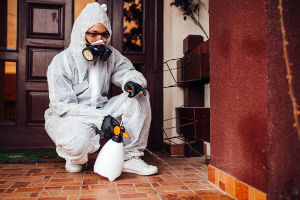 Reliable Mosquito Control contractor in Herculaneum, MO by Show Me Pest Control
